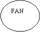 Oval: FAN